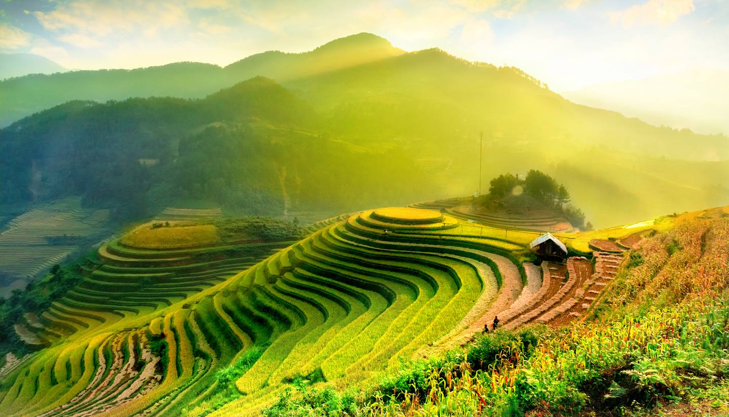 Home - Terraced rice fields in Mu Cang Chai, YenBai, Vietnam.